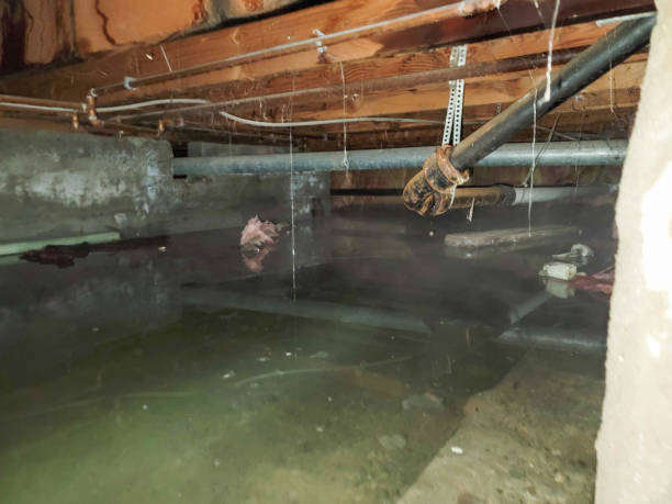 Carpet water damage restoration in Irvine, CA