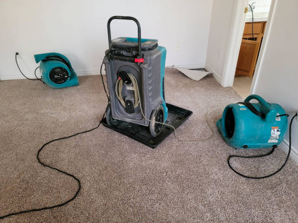 Best Flood restoration services  in Irvine, CA