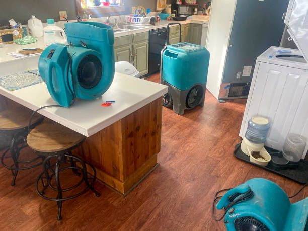 Best Water damage restoration near me  in Irvine, CA