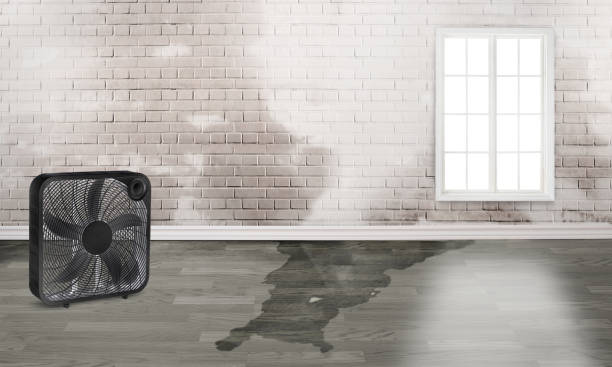 Irvine, CA Water damage restoration Company